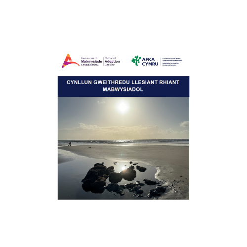 Adoptive Paren'ts well-being Action Plan